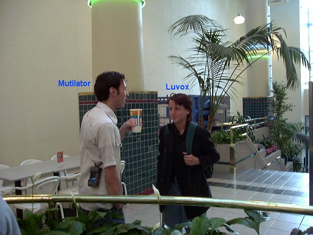 Mutilator and Luvox.