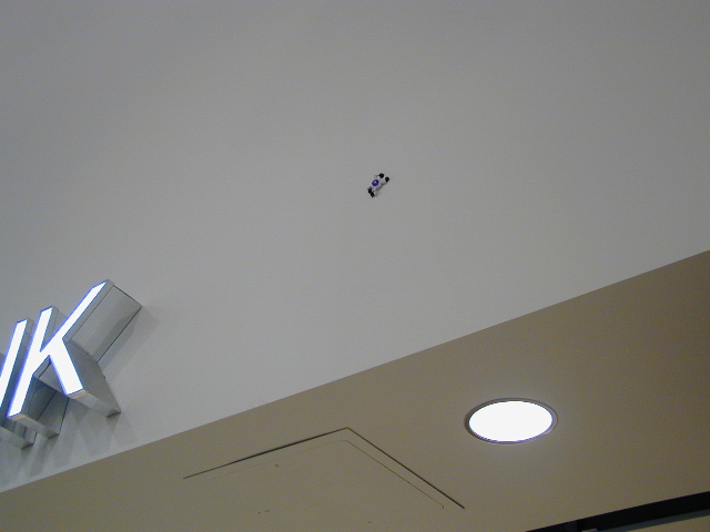 Adrenaline threw a wall-walker onto the wall and it stayed there through the whole meeting.