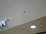 Adrenaline threw a wall-walker onto the wall and it stayed there through the whole meeting.